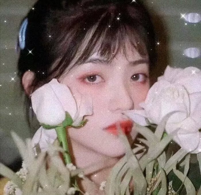 蒙娜丽莎